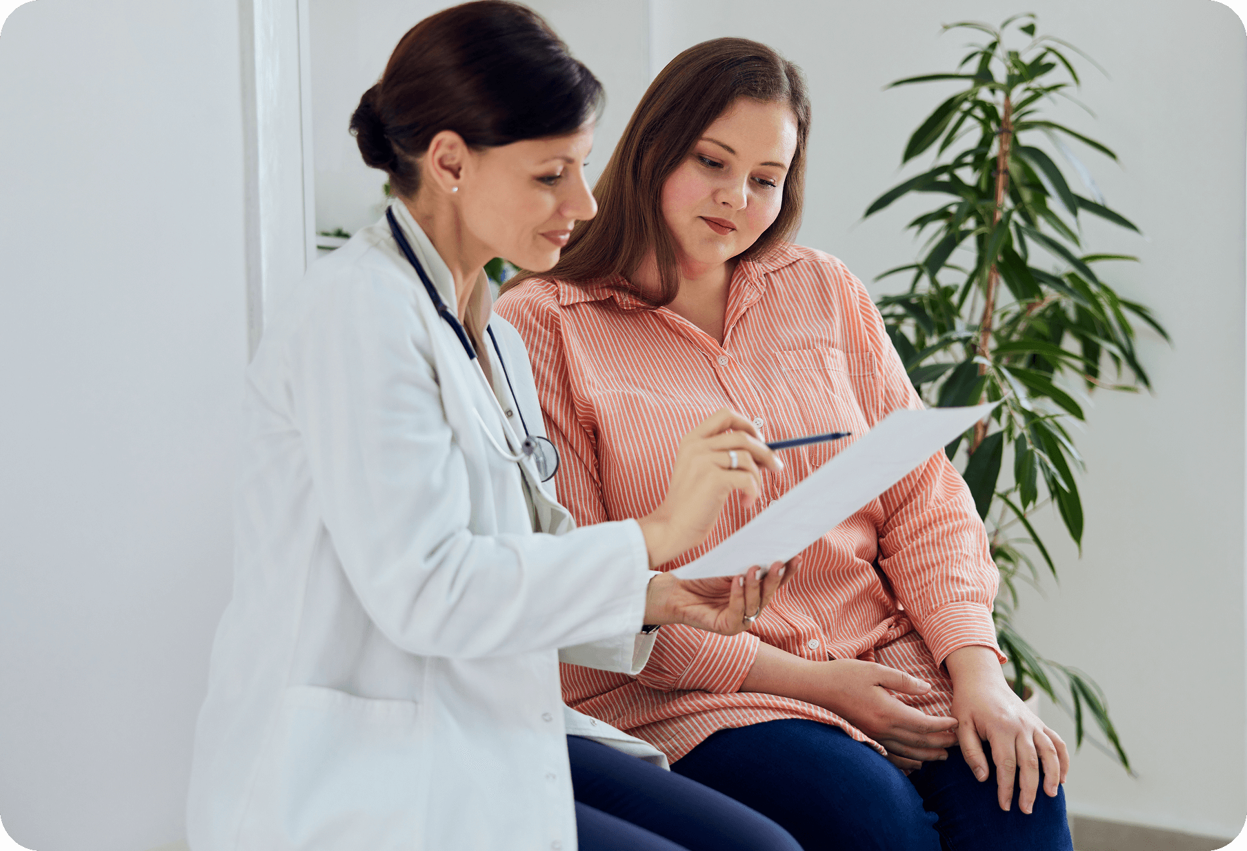 Doctor and patient discussing a document in a bright room with a potted plant and a white wall in the background.
