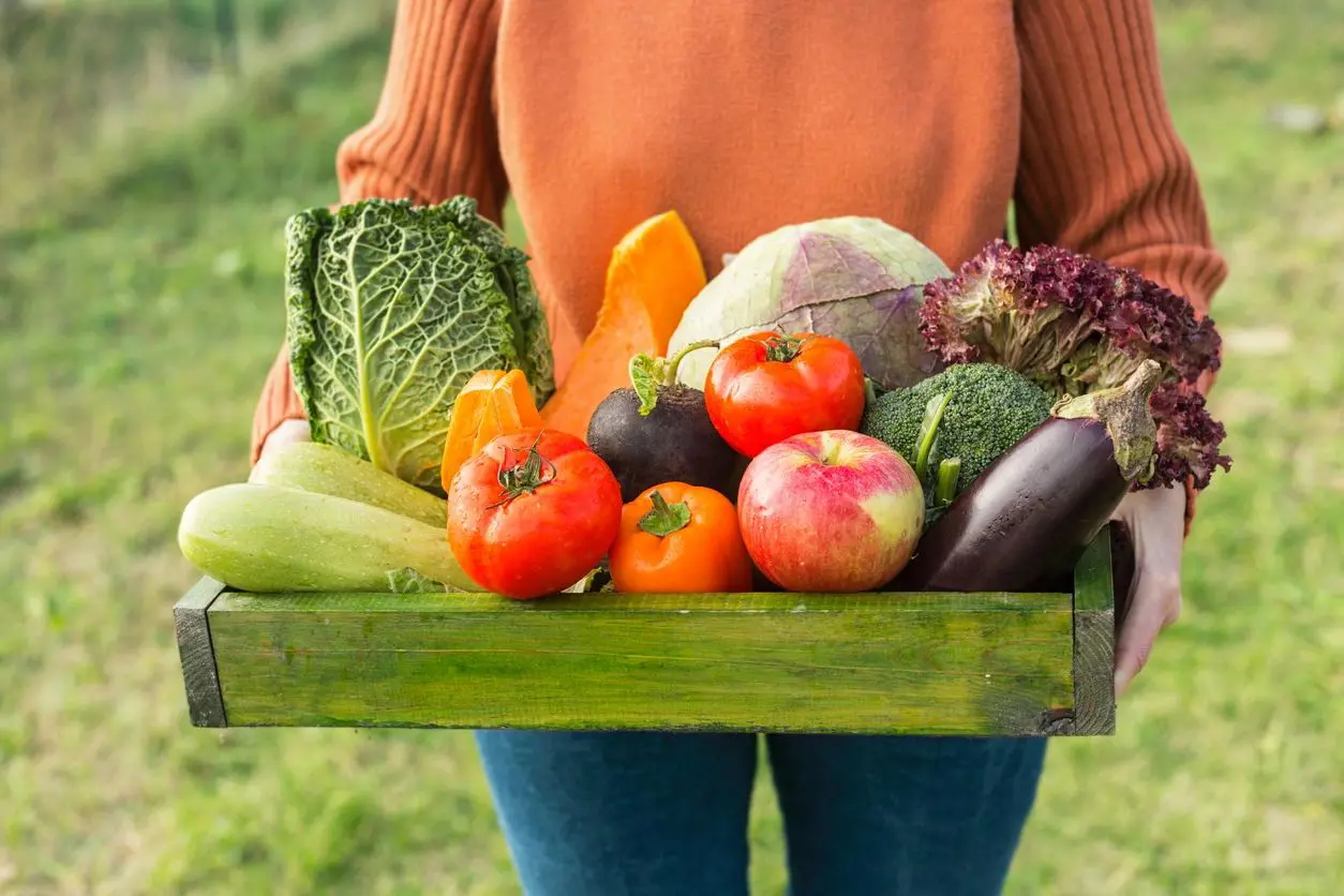 Person holding a crate of fresh vegetables and fruits outdoors.